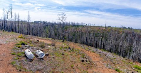 8580 Big Canyon Loop Rd, Grizzly Flats, CA 95636 Photo