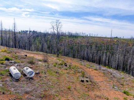 8580 Big Canyon Loop Rd, Grizzly Flats, CA 95636 Photo