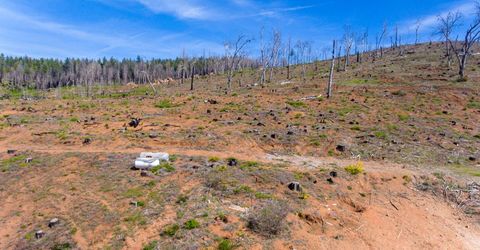 8580 Big Canyon Loop Rd, Grizzly Flats, CA 95636 Photo