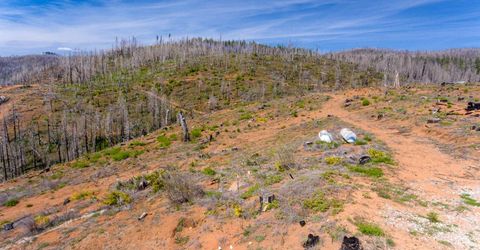 8580 Big Canyon Loop Rd, Grizzly Flats, CA 95636 Photo