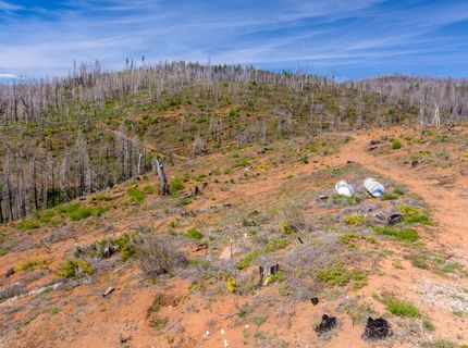 8580 Big Canyon Loop Rd, Grizzly Flats, CA 95636 Photo