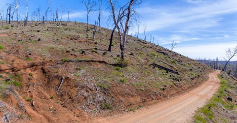 8580 Big Canyon Loop Rd, Grizzly Flats, CA 95636 Photo