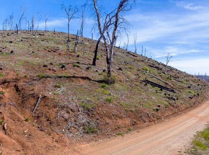 8580 Big Canyon Loop Rd, Grizzly Flats, CA 95636 Photo