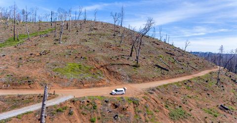 8580 Big Canyon Loop Rd, Grizzly Flats, CA 95636 Photo