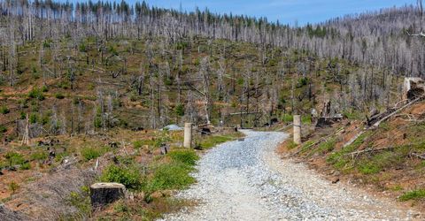 8580 Big Canyon Loop Rd, Grizzly Flats, CA 95636 Photo