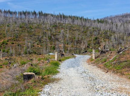 8580 Big Canyon Loop Rd, Grizzly Flats, CA 95636 Photo