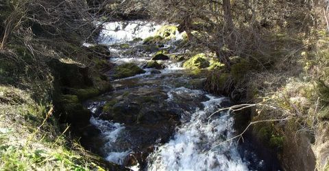 8580 Big Canyon Loop Rd, Grizzly Flats, CA 95636 Photo