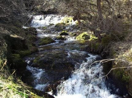 8580 Big Canyon Loop Rd, Grizzly Flats, CA 95636 Photo