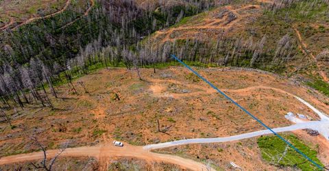 8580 Big Canyon Loop Rd, Grizzly Flats, CA 95636 Photo