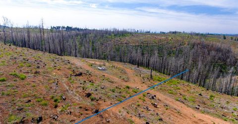 8580 Big Canyon Loop Rd, Grizzly Flats, CA 95636 Photo