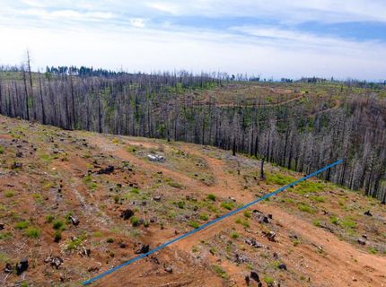 8580 Big Canyon Loop Rd, Grizzly Flats, CA 95636 Photo