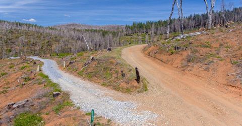 8580 Big Canyon Loop Rd, Grizzly Flats, CA 95636 Photo