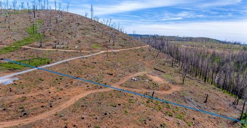 8580 Big Canyon Loop Rd, Grizzly Flats, CA 95636 Photo