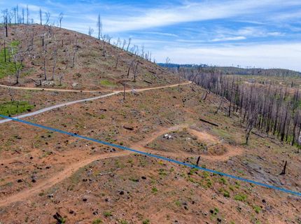 8580 Big Canyon Loop Rd, Grizzly Flats, CA 95636 Photo