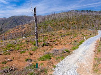 8580 Big Canyon Loop Rd, Grizzly Flats, CA 95636 Photo