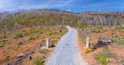 8580 Big Canyon Loop Rd, Grizzly Flats, CA 95636 Photo