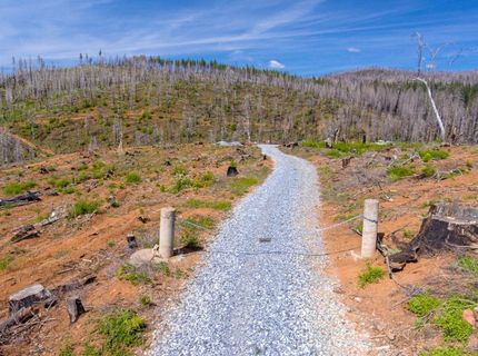 8580 Big Canyon Loop Rd, Grizzly Flats, CA 95636 Photo