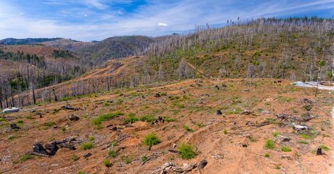 8580 Big Canyon Loop Rd, Grizzly Flats, CA 95636 Photo