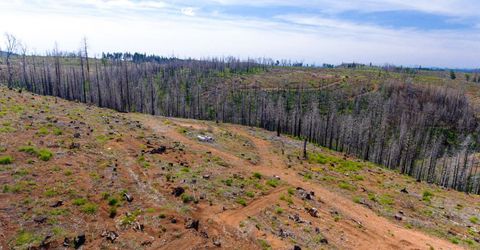 8580 Big Canyon Loop Rd, Grizzly Flats, CA 95636 Photo