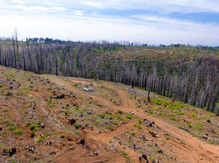 8580 Big Canyon Loop Rd, Grizzly Flats, CA 95636 Photo