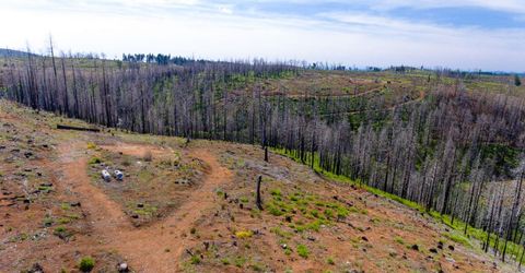 8580 Big Canyon Loop Rd, Grizzly Flats, CA 95636 Photo