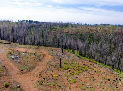 8580 Big Canyon Loop Rd, Grizzly Flats, CA 95636 Photo