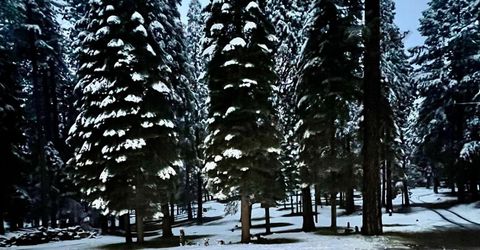 19380 Amador Ave, Pioneer, CA 95666 Photo