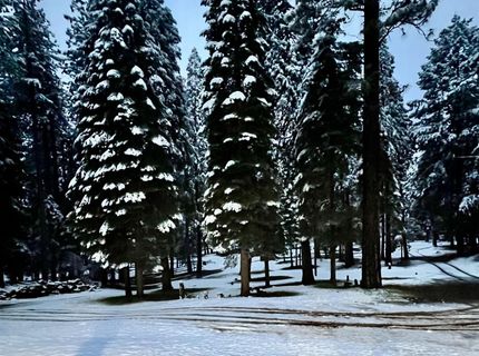 19380 Amador Ave, Pioneer, CA 95666 Photo