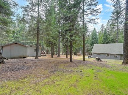 19380 Amador Ave, Pioneer, CA 95666 Photo