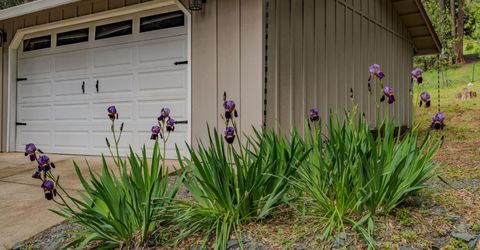 16425 Carolyn Way, Pioneer, CA 95666 Photo