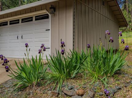 16425 Carolyn Way, Pioneer, CA 95666 Photo