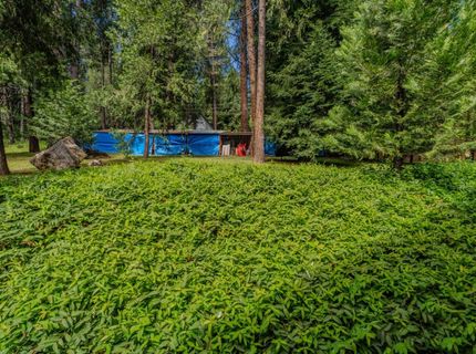 16425 Carolyn Way, Pioneer, CA 95666 Photo