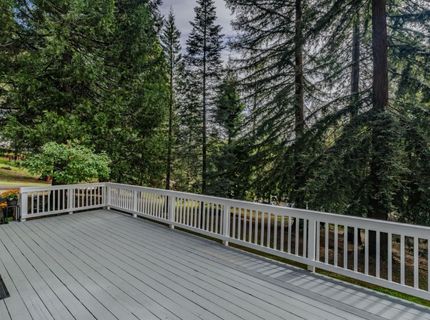 16425 Carolyn Way, Pioneer, CA 95666 Photo