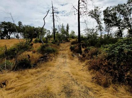 9985 Wendell Rd, Mountain Ranch, CA 95246 Photo