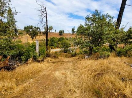 9985 Wendell Rd, Mountain Ranch, CA 95246 Photo