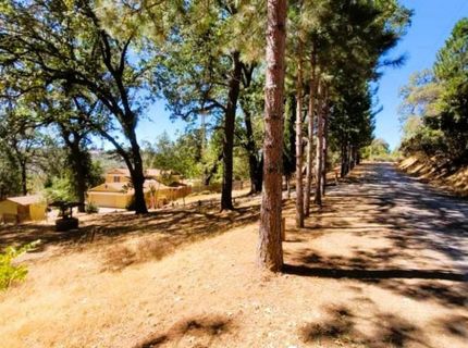 9985 Wendell Rd, Mountain Ranch, CA 95246 Photo