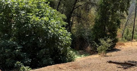 9985 Wendell Rd, Mountain Ranch, CA 95246 Photo