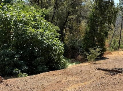 9985 Wendell Rd, Mountain Ranch, CA 95246 Photo