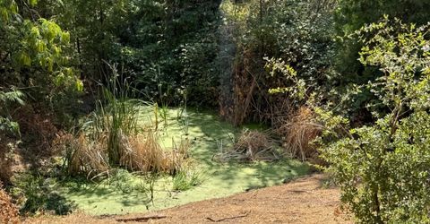 9985 Wendell Rd, Mountain Ranch, CA 95246 Photo