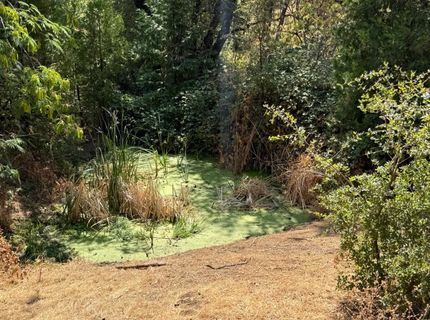 9985 Wendell Rd, Mountain Ranch, CA 95246 Photo