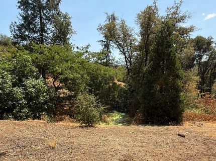 9985 Wendell Rd, Mountain Ranch, CA 95246 Photo