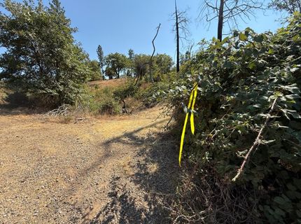 9985 Wendell Rd, Mountain Ranch, CA 95246 Photo