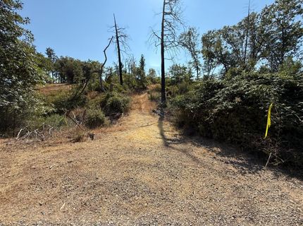 9985 Wendell Rd, Mountain Ranch, CA 95246 Photo