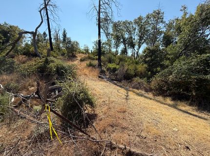 9985 Wendell Rd, Mountain Ranch, CA 95246 Photo