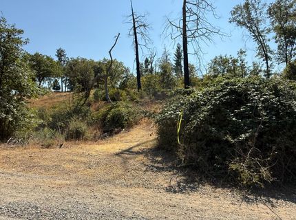 9985 Wendell Rd, Mountain Ranch, CA 95246 Photo