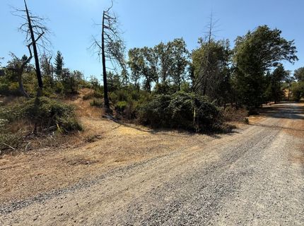 9985 Wendell Rd, Mountain Ranch, CA 95246 Photo