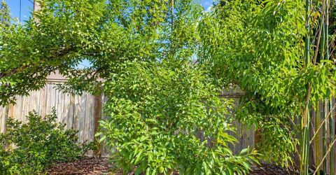 1549 Janrick Ave, Sacramento, CA 95832 Photo