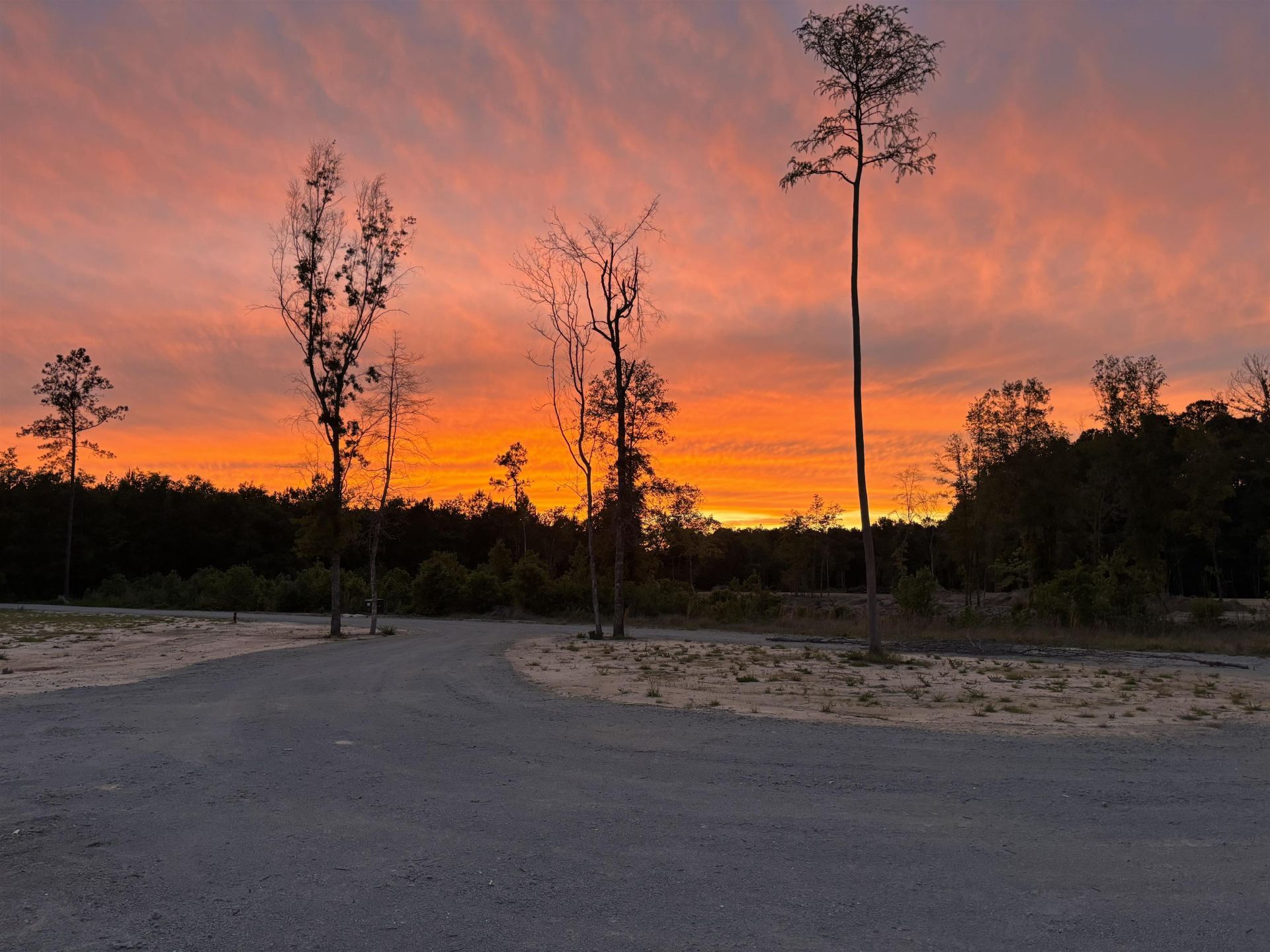 2230 Pee Dee Hwy. Photo 12