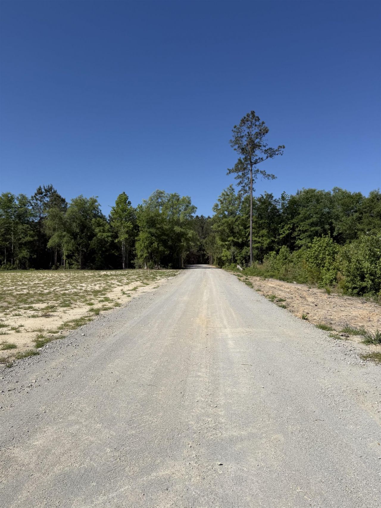 2230 Pee Dee Hwy. Photo 13