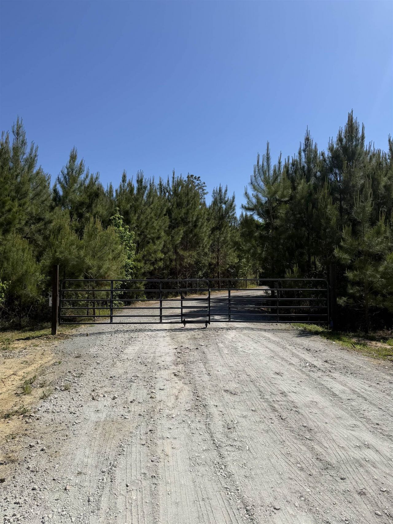 2230 Pee Dee Hwy. Photo 14